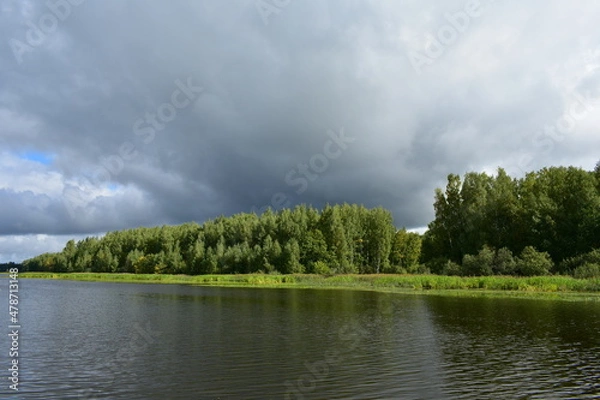 Obraz lake in the forest