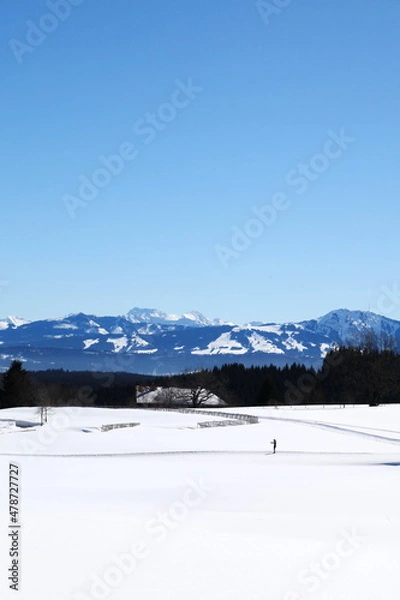 Obraz EdeEschacherWeiher