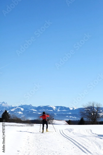 Obraz EdeEschacherWeiher