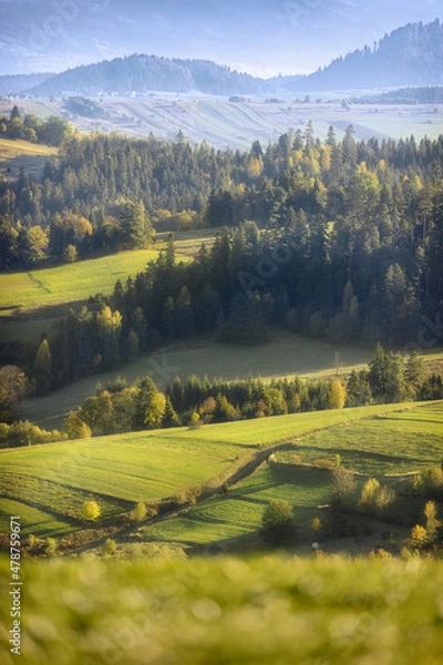 Fototapeta landscape with field and sky
