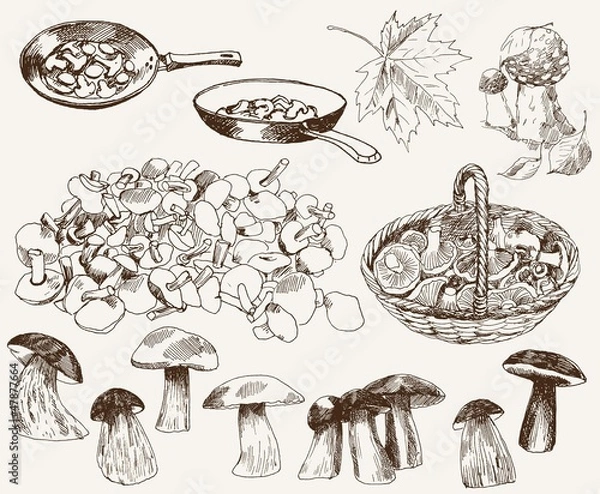 Obraz gifts of nature: mushrooms
