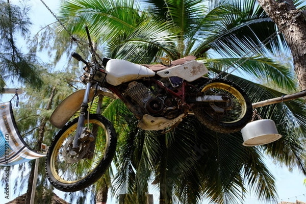 Obraz bike on the tree