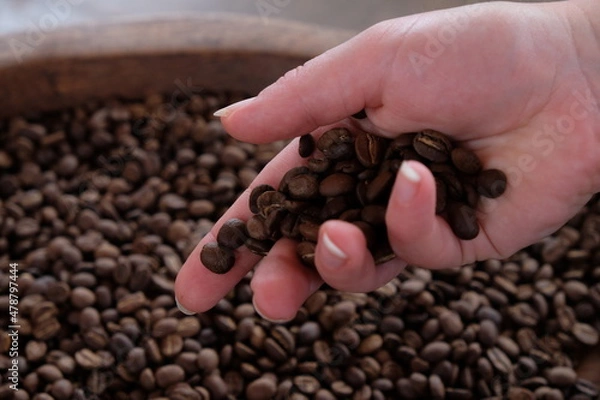 Obraz coffee beans in the hands