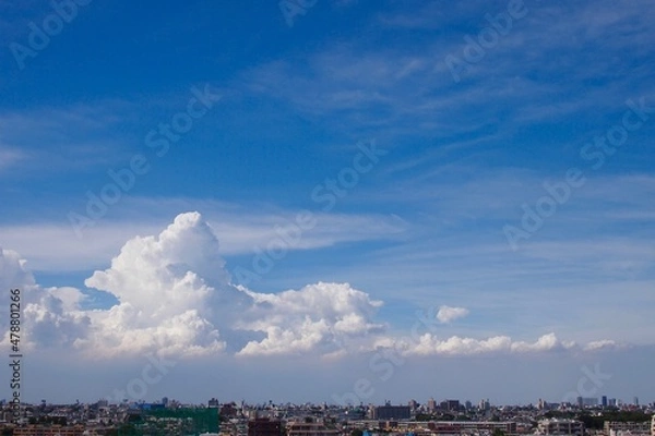 Fototapeta 入道雲と街並みの対比