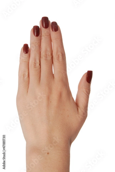 Fototapeta a back of the women's hand