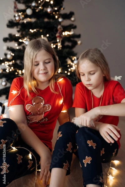 Fototapeta Teenage sisters in red holiday T-shirts sitting at the Christmas tree and celebrating the New Year