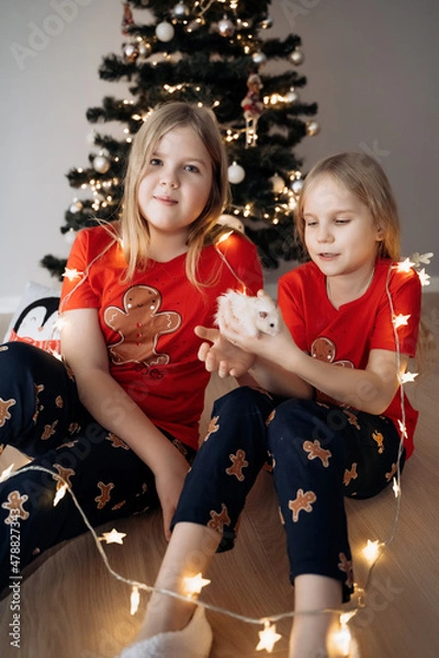 Fototapeta Teenage sisters in red holiday T-shirts sitting at the Christmas tree and celebrating the New Year