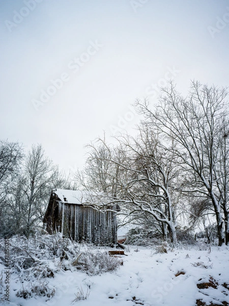 Obraz A snow covered Barn