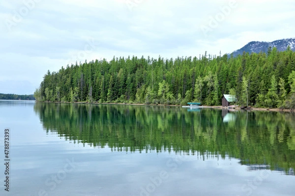 Obraz lake and forest