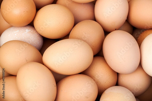 Fototapeta fresh eggs