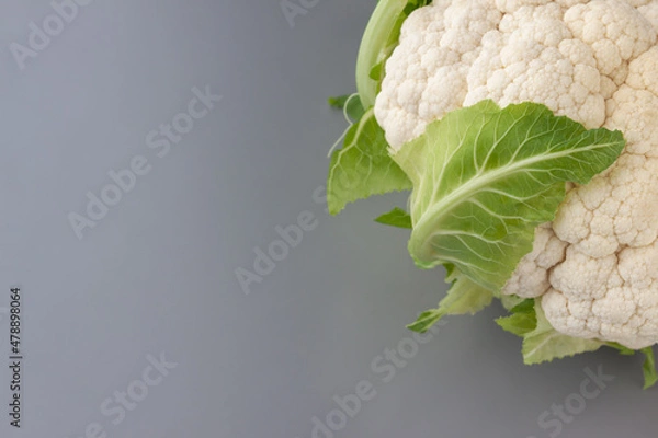 Obraz Cauliflower isolated on gray background. Copy space. Cooking recepies. White and green. Vegetarian. Organic. Top right corner.
