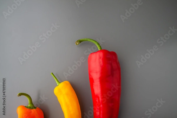 Obraz Three colourful oblong paprikas on the gray background Left bottom. Copy space