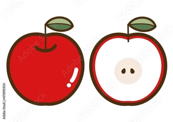 Obraz シンプルでかわいい果物のイラスト＿リンゴ