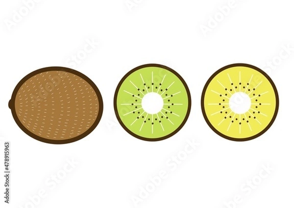 Obraz シンプルでかわいい果物のイラスト＿キウイ