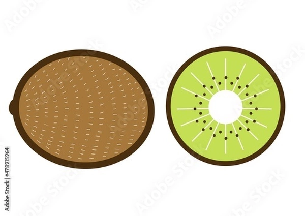 Obraz ンプルでかわいい果物のイラスト＿キウイ