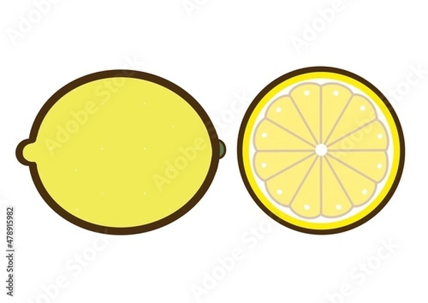 Obraz シンプルでかわいい果物のイラスト＿レモン