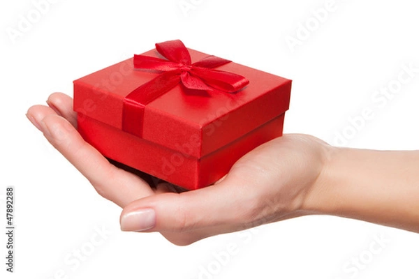 Obraz hand with gift isolated