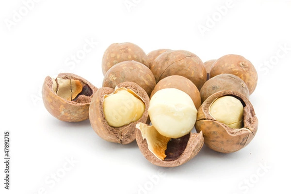 Fototapeta macadamia