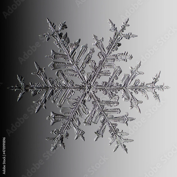 Fototapeta Real snowflake