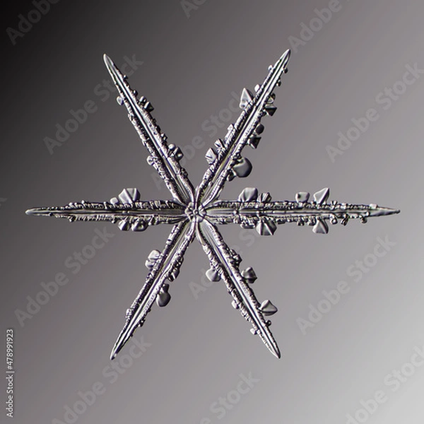 Fototapeta Real snowflake