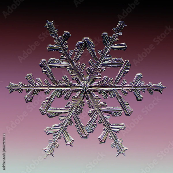 Fototapeta Real snowflake