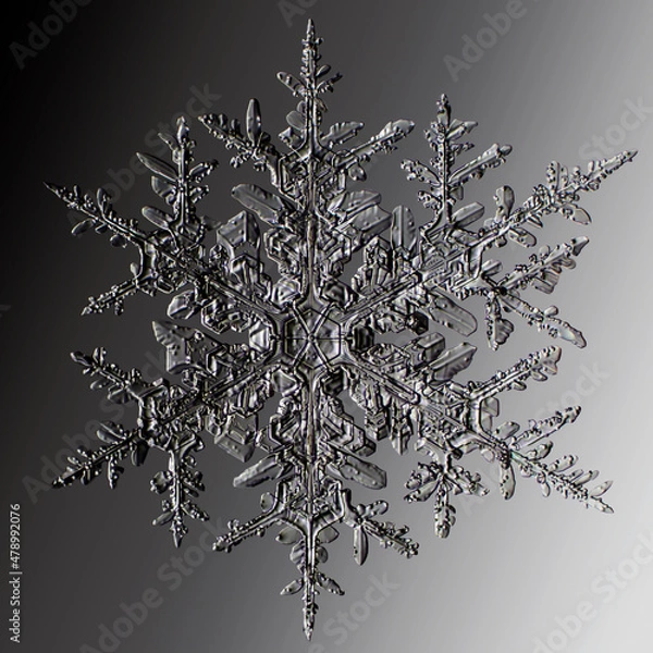 Fototapeta Real snowflake