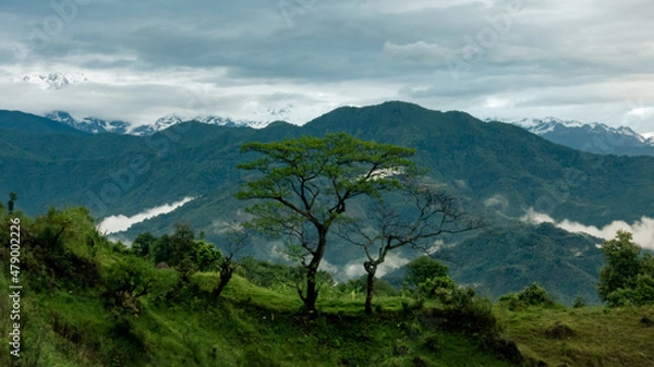 Obraz Tree in cloudy mountains 2