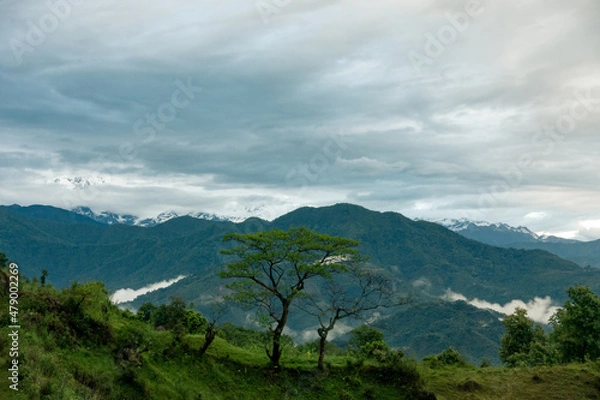 Obraz Tree in cloudy mountains