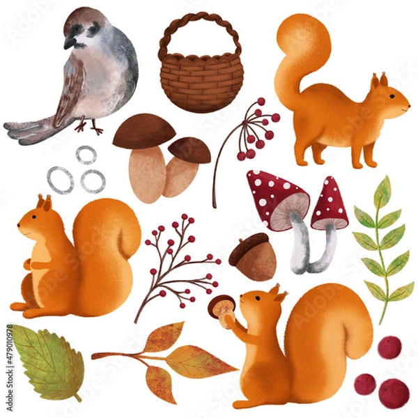 Fototapeta Forest plant set with white an