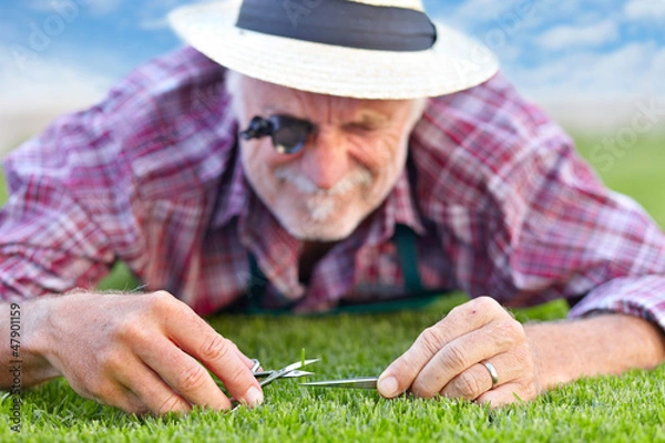 Obraz Close up of senior gardener cutting grass 3