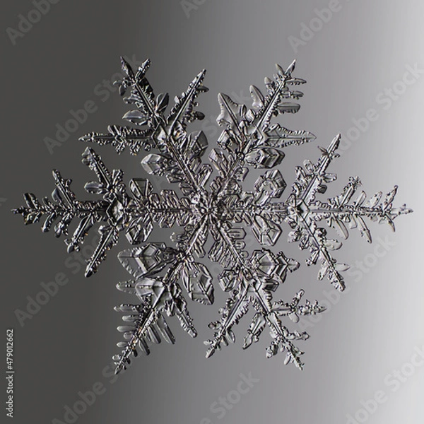 Fototapeta Real snowflake