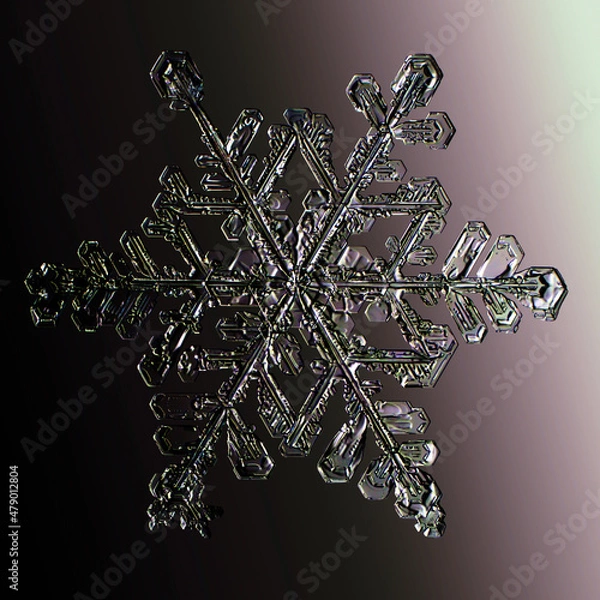Fototapeta Real snowflake