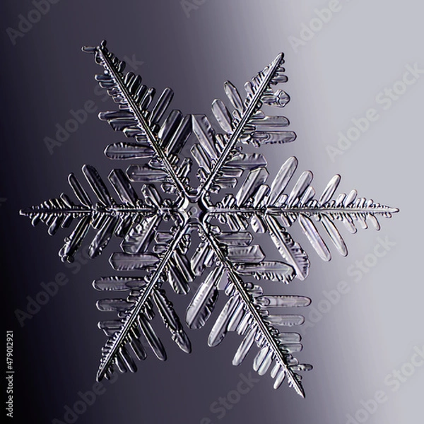 Fototapeta Real snowflake