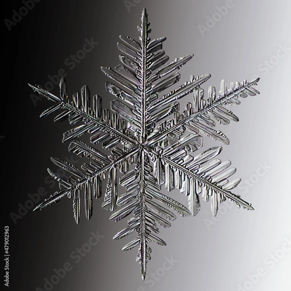 Fototapeta Real snowflake