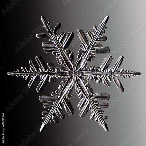 Fototapeta Real snowflake