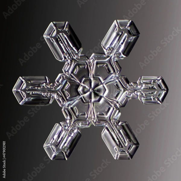 Fototapeta Real snowflake