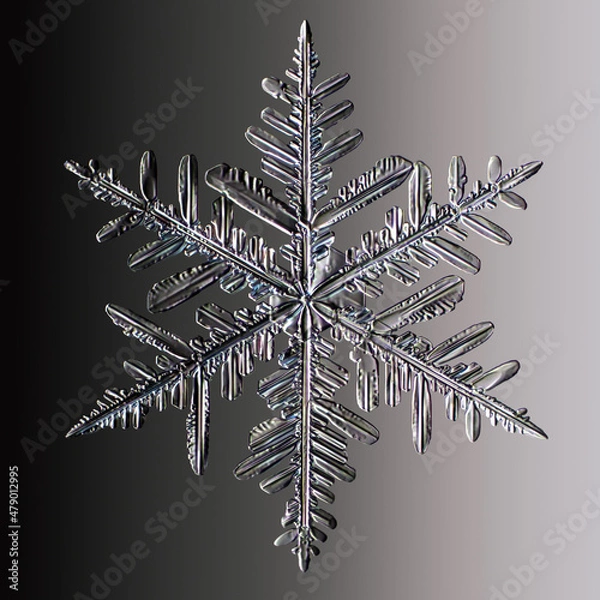 Fototapeta Real snowflake