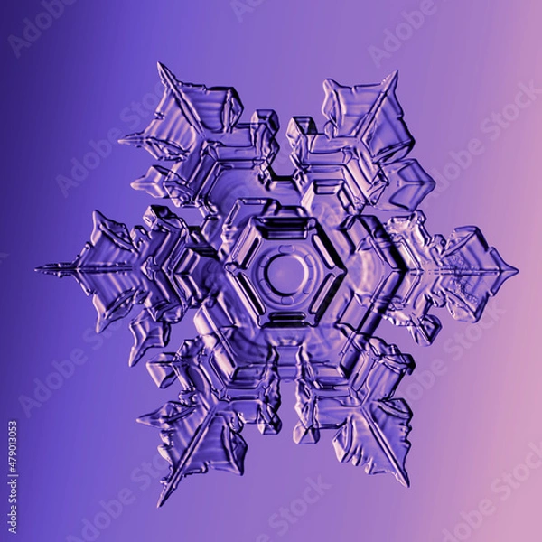 Fototapeta Real snowflake