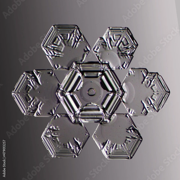 Fototapeta Real snowflake
