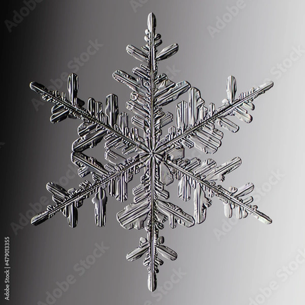Fototapeta Real snowflake