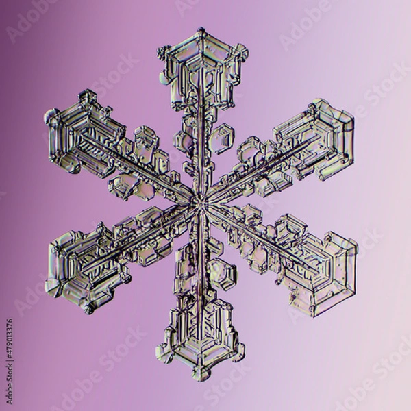 Fototapeta Real snowflake