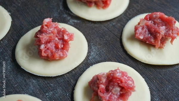 Fototapeta the process of cooking, modeling, recipe, dumplings, Traditional dish of Russian cuisine, round dough stuffed with minced meat, minced meat