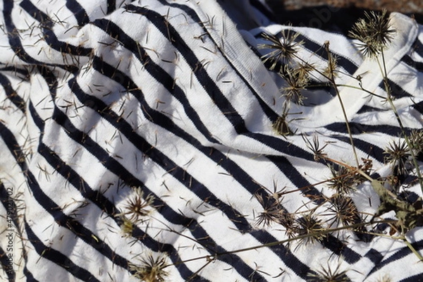 Obraz センダン草がたくさんついた服