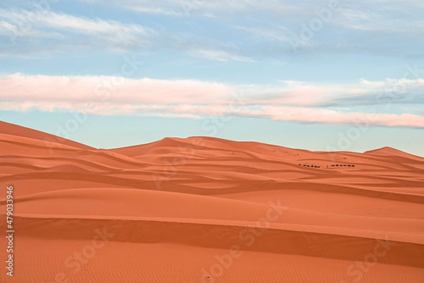 Fototapeta Beautiful view of sand dunes in sahara desert against cloudy sky, Sand dunes with waves pattern in desert