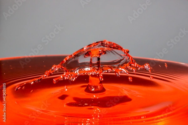 Fototapeta water drop splash