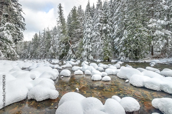 Obraz Winter Wonderland