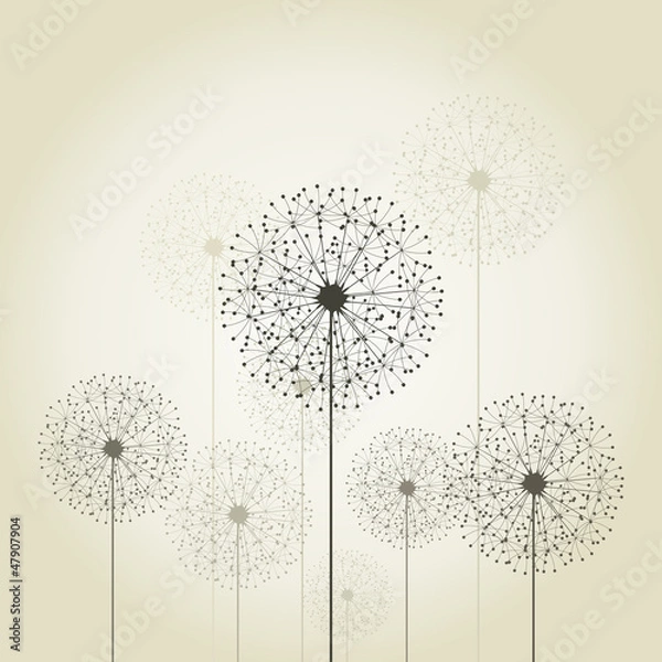 Obraz Flower a dandelion