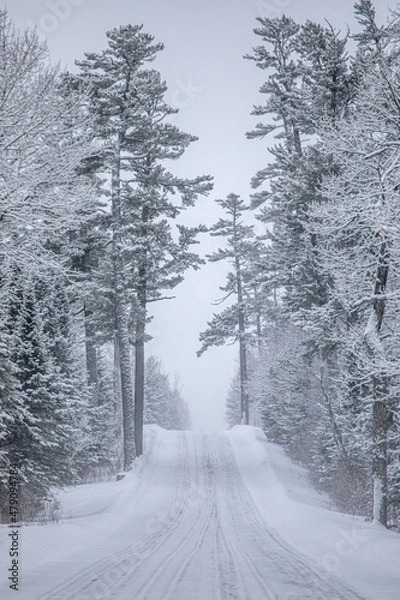 Obraz Gunflint Trail Blizzard