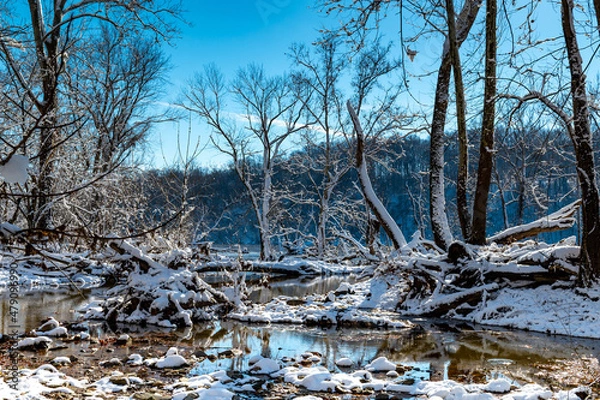 Obraz Winter landscape