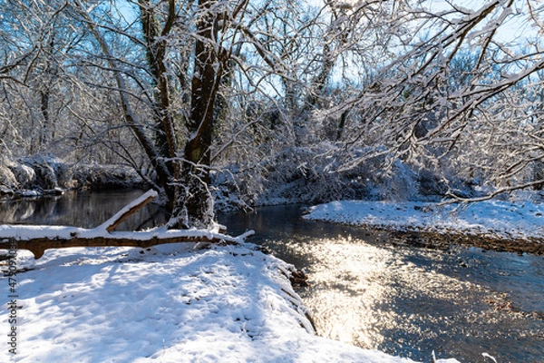 Obraz Winter landscape